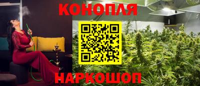 хмурый Дубна