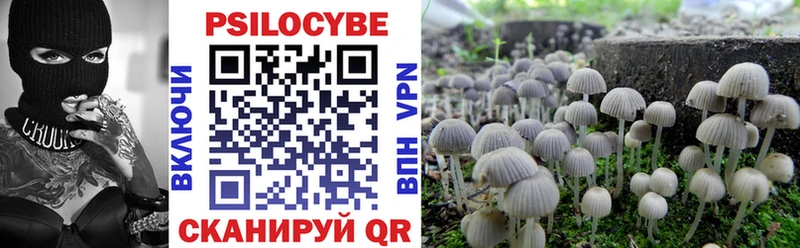 Псилоцибиновые грибы ЛСД  Моздок 